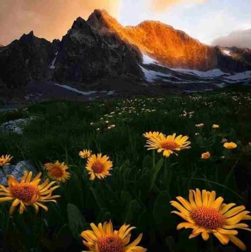 میگی جاده واسه تو کلک نداره آدم تنها به رفتن شک نداره