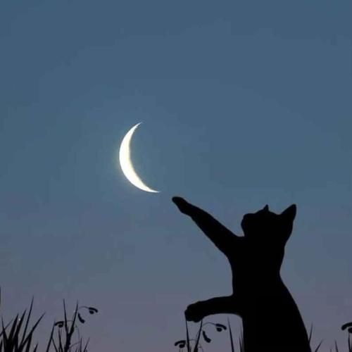  خواستی که قلبمو دورش کنی دل تو دلت نبود با صدای بچه