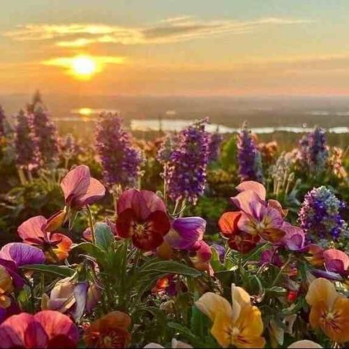 بزن قدش برو بعدش این آدم به آدم عادت نداره