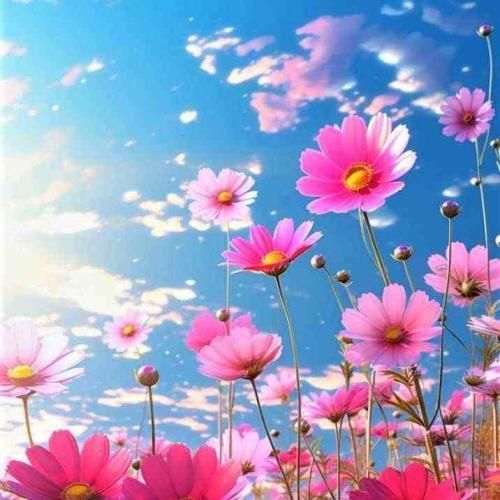 دیگه با من حرف نزن خونه نریا بارونه