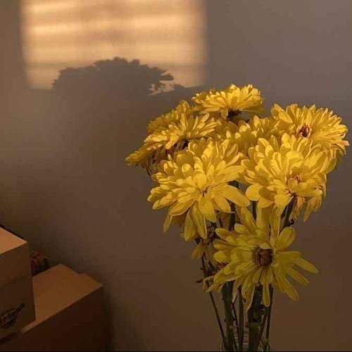  مو او اشکسته بالم که دارم شوق پرواز با صدای دختر اینستایی