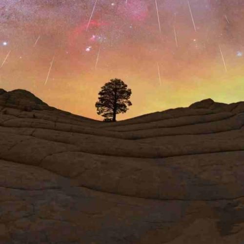  باز منو کاشتی رفتی تنها گذاشتی رفتی با صدای بچه