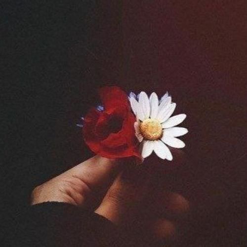 حس خوب بودنو دیگه بهم نمیده کسی