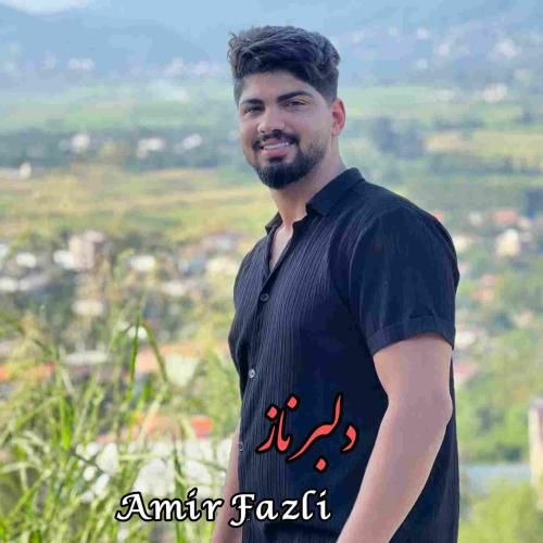 امیر فضلی دلبر ناز