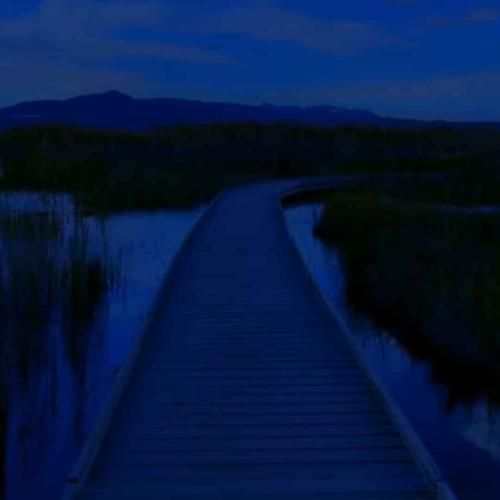  ببین اصن مشکلی نی که خودتونو گذاشتین پشت