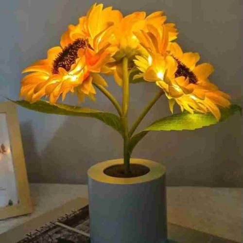 دشت جونمه سی عزیزم گل بکارم تا بیی با صدای مرد