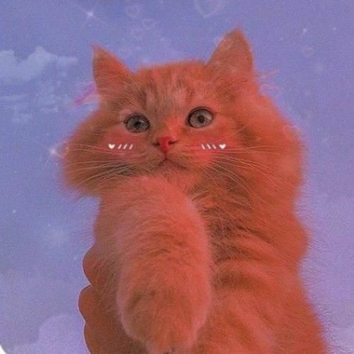 همه حرفام دروغ من هنوز عاشقتم بهت حسم زیاده با صدای دختر اینستایی