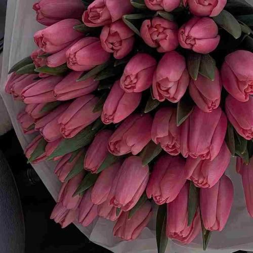  من غریب دریا از بوی دهنم بده تشخیص ماریان