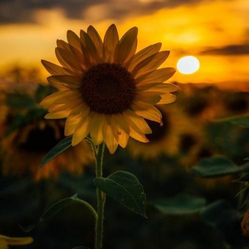  بی خبر از حالت با دلتنگی من آشنا میشم