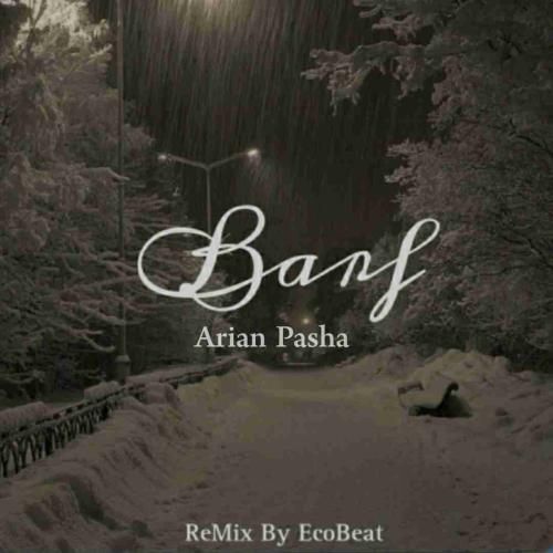 آرین پاشا برف