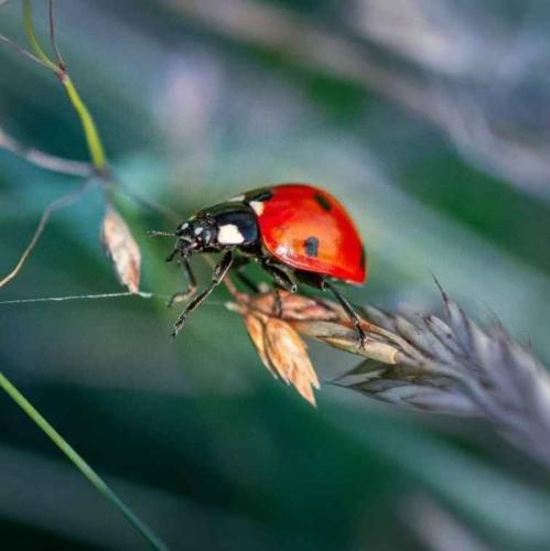  آخ بمیرم واسه تو که دلت میگیره کاش با صدای پسر