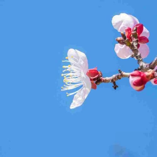 چشات ساحل آرامشه یه دریا رو سمت خودش با صدای بچه