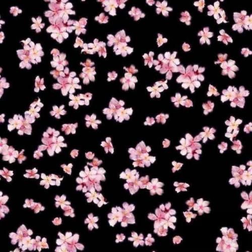 عیدای فطر کعبتم ته بالا سلامتی معرفتت یه حلقه ست