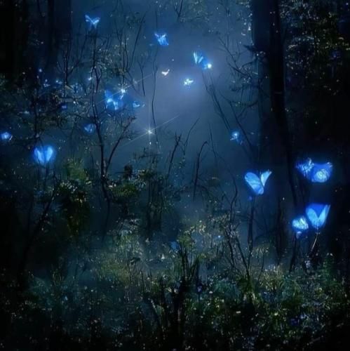  ولی دیگه واسم غریبه ای تو زندگیم جای غریبه نی با صدای دختر اینستایی