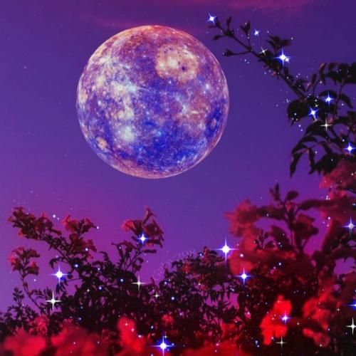 چقده کز کنم این گوشه ی دنیا که چی با صدای دختر اینستایی (پریچهر)