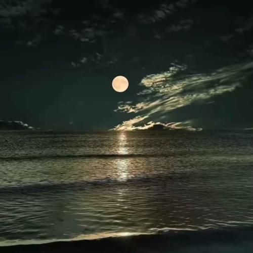  با دلبریات خوشگلا باید برقصن خوشگلا باید با صدای بچه