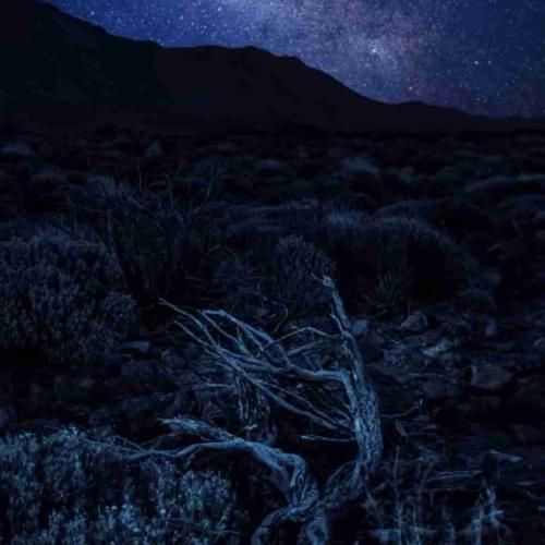  بی احساس دیدی گفتم ته این رابطه بن بسته (ورژن گروهی)