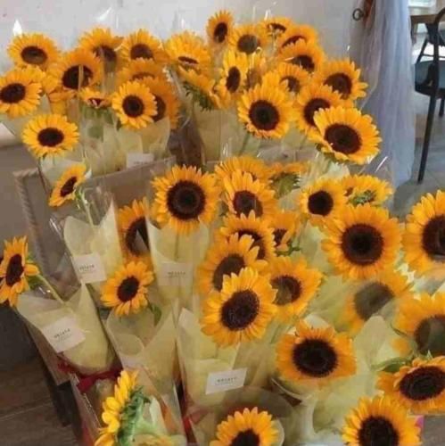  نشد ببرمت تورو من از یادم بیا بگو هرجا با صدای بچه