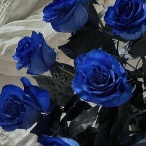 ببین واقعیه ام من نه از این کوچیکا که گنده میگن دل من دریاییه