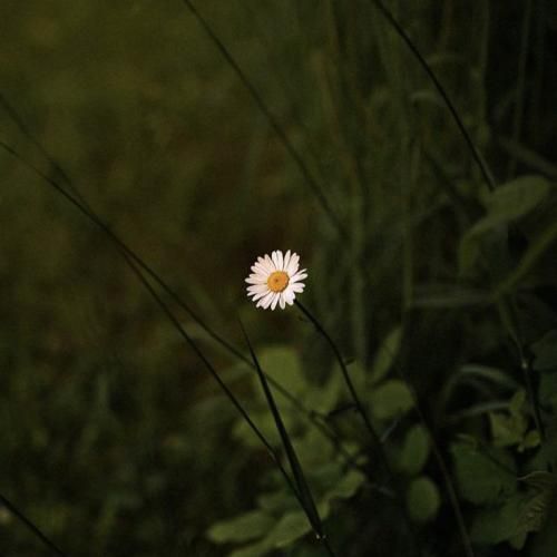  مثل اولاش تو عاشقم نباش به یاد اون شبا که