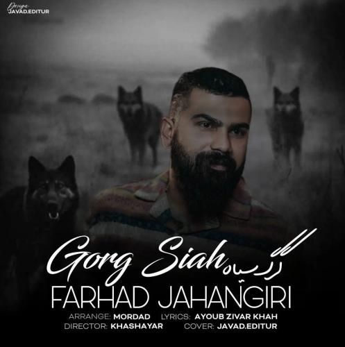 فرهاد جهانگیری گرگ سیاه