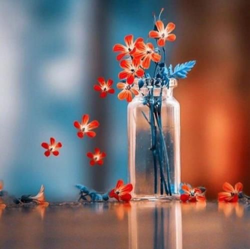 کوبیدیم ما تا دماوند رفتیم یا ولنجک