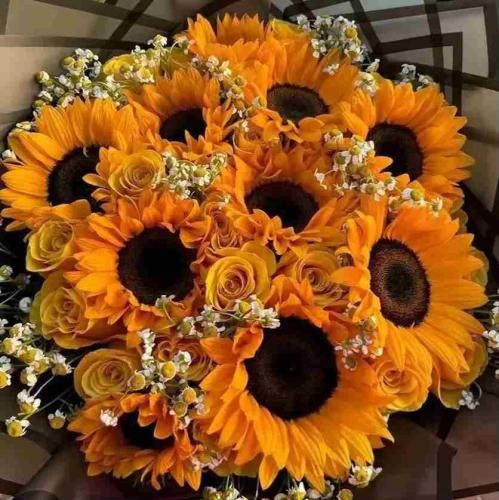  آخ چشات چقدر ماهره این جونم میخواد در بره با صدای زن