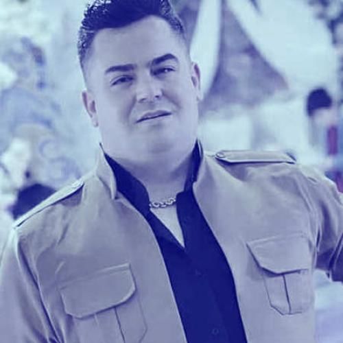 فرشاد امینی هناری وی هناری