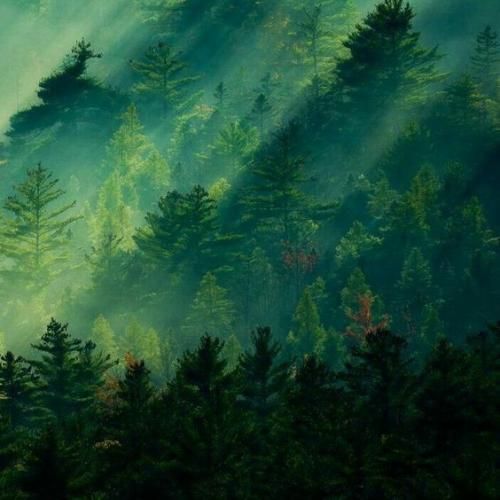 توی این قایق تنها ندارم من پارو من حتی دردامم نداره دارو