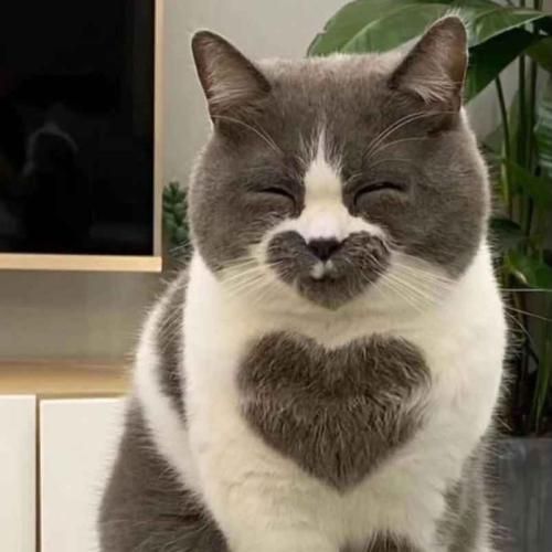  تو میگی یه وقتا گاهی پیش میاد یه اشتباهی ورژن گیتار