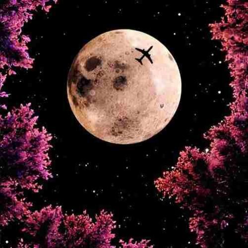  لعنت به تو زیبای بی عاطفه لعنت به ورژن اینستاگرامی