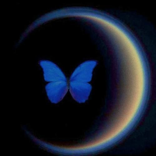 بی تو چه وضعیه مگه میفهمی منو برگرد عقب با صدای مرد