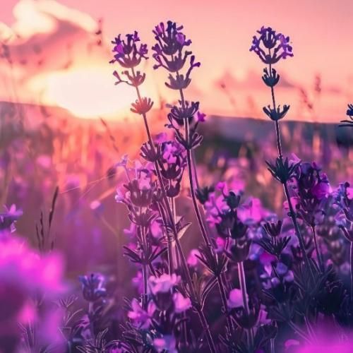  من که ندارم بجز تو کسیو همه قولامونم زیرش زدی تو با صدای دختر