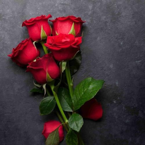 کاش دور ازت نبودم کاشکی رو مخ نبودی