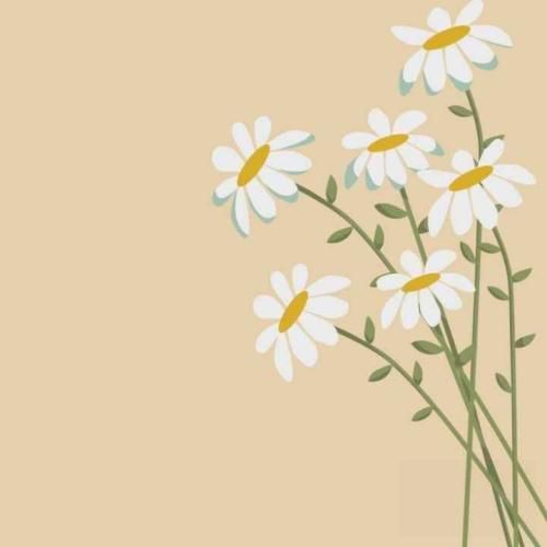 فاطمه عطایی آق ننه