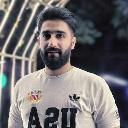 محمد امیری انقلاب