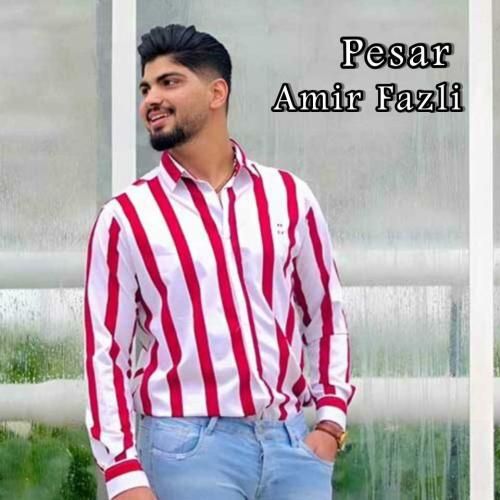 امیر فضلی پسر