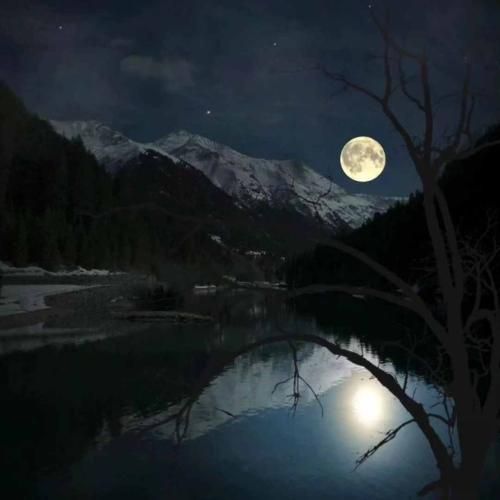 بگو میشه ببینم یه روزی باز تورو جوابمو بده با صدای بچه