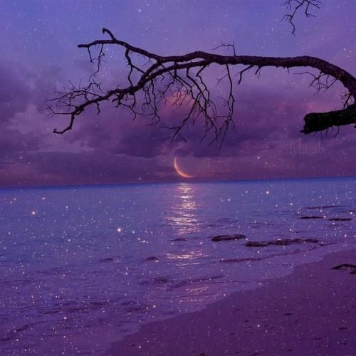  الان زمین میخورم آسفالت خورده مشت میزنم مثل فیلم چینی پودره