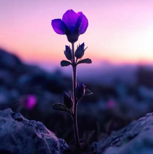  زیر بارونا گمم ینی بی تو چش میشه تا بهت فکر با صدای دختر اینستایی