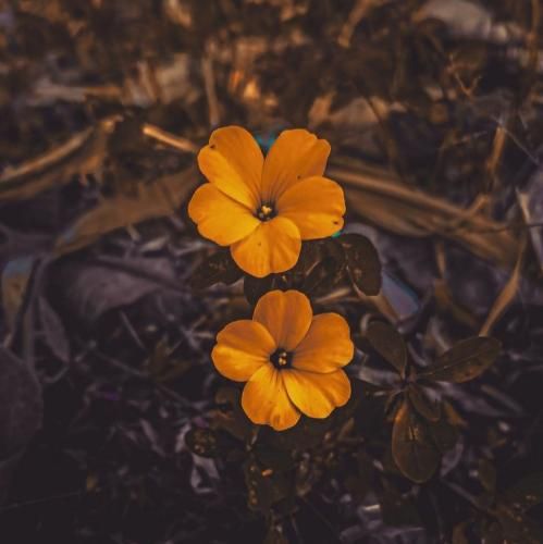 نمیگم بدت نمیگم به اینا چی سرم اومد