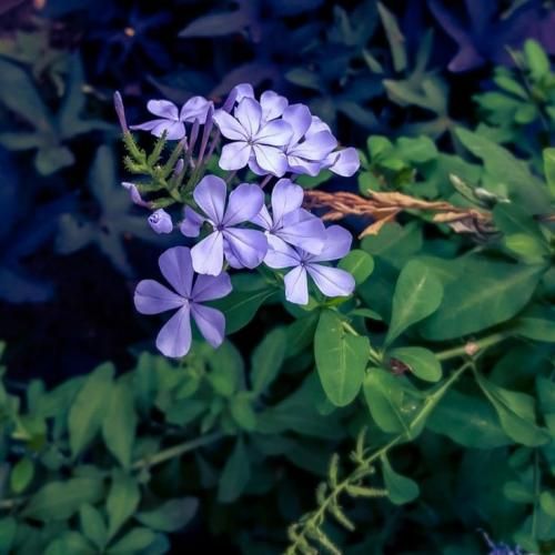  عمرم کوتاه نبود تو کاتش کردی با صدای دختر اینستایی