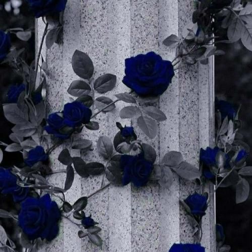 کاش یبار دیگه چشماتو وقت رفتن میدیدم با صدای پسر