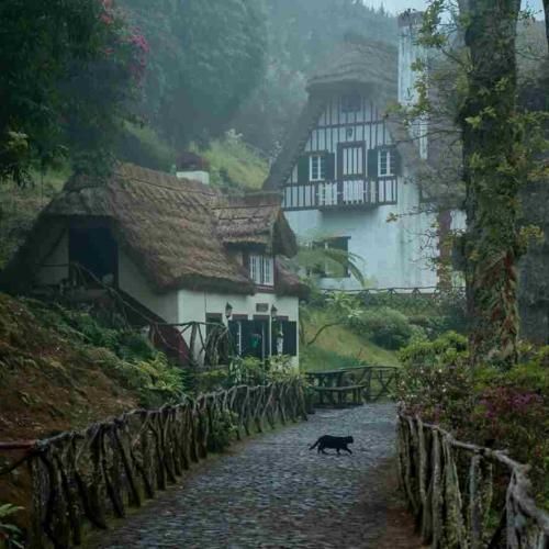 همیشه تنهام تموم نمیشه دردام میترسم من از فردام با صدای پسر