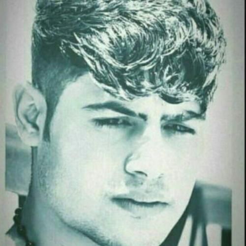 امیرحافظ رنجبر شب شد