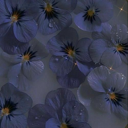 پس بیا یه بار دیگه نه این چشا خواب نمیره آیسم