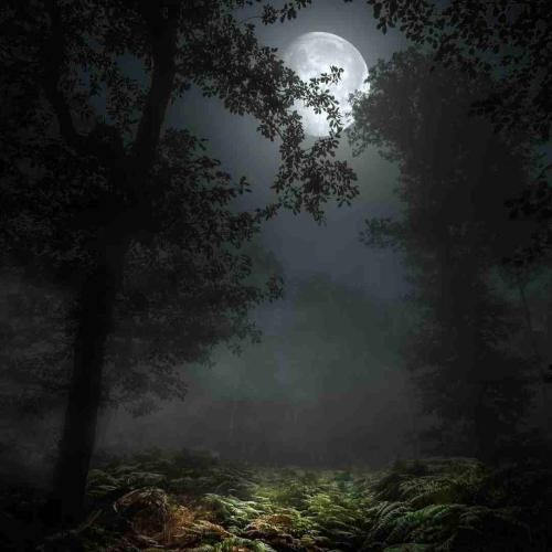  چشمانت نمیرود دیگر از یاد خندیدی (با صدای دختر)