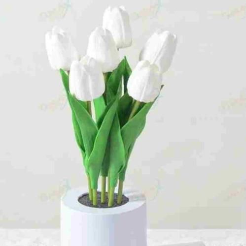 آخ مو سوختم مو برشتم که دیشو نومه نوشتم با صدای بچه