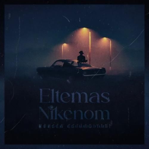 محسن اسفندیاری التماس نیکنوم