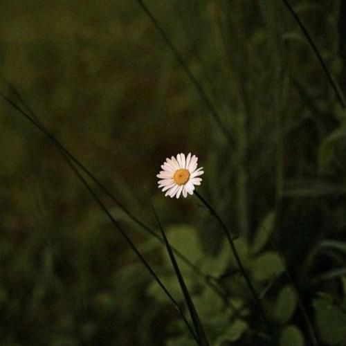 میگه قلبت کجاست دو سه متر زیر خاک